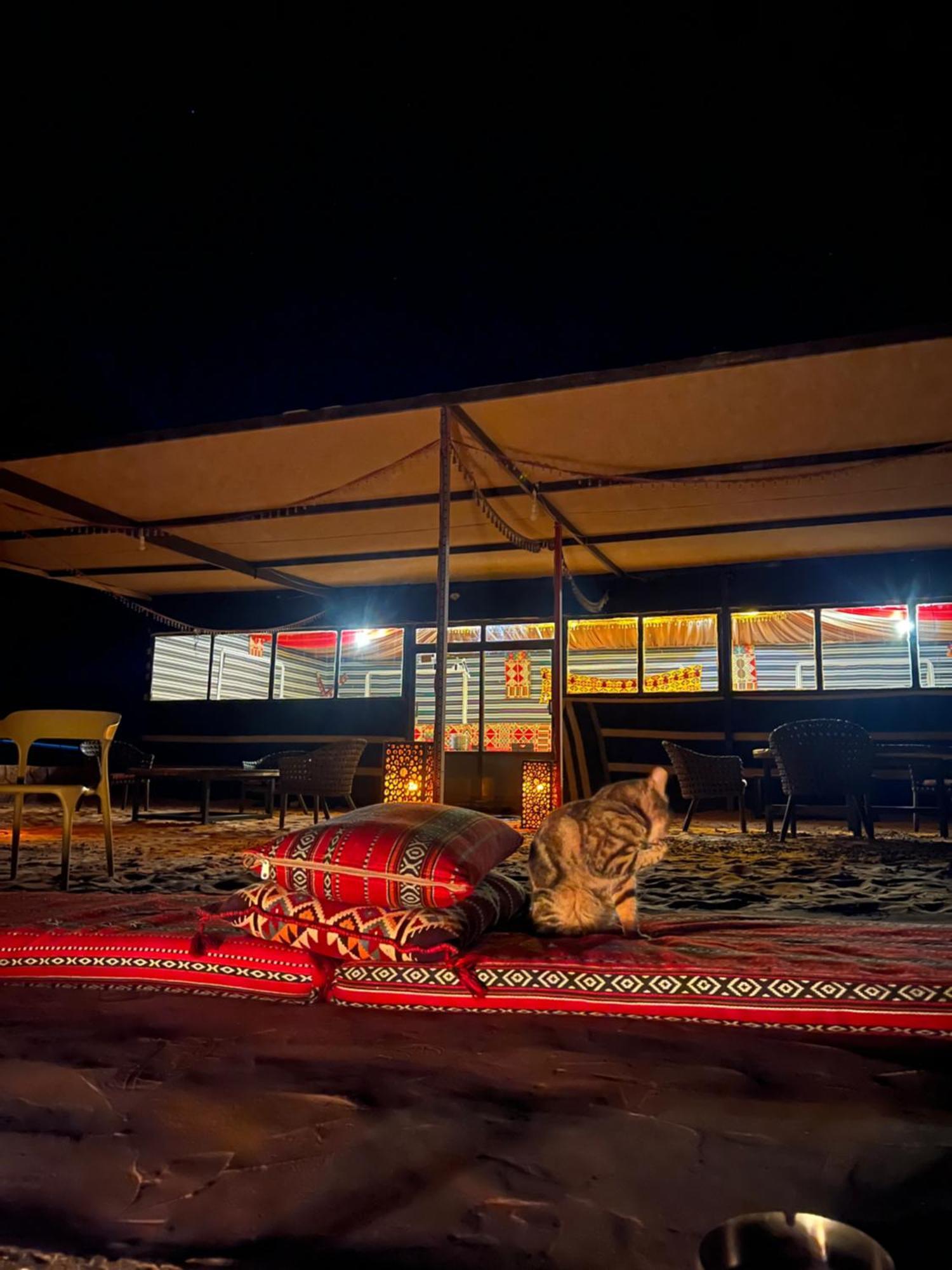 Bedouin Life Camp Otel Ram Vadisi Dış mekan fotoğraf